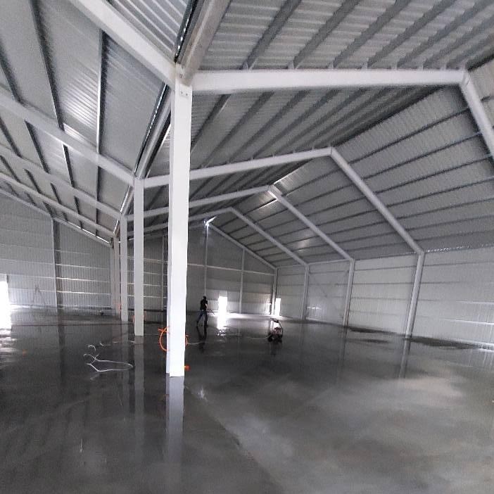 Shed - Cropped